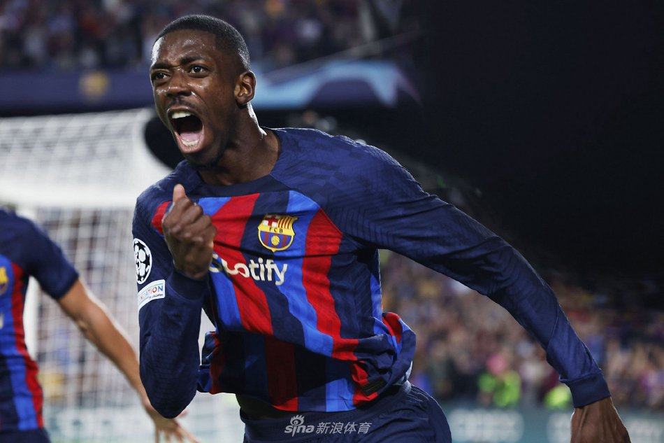 分析这些助 分析这些助